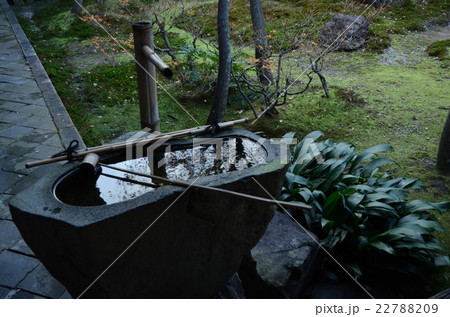 建仁寺・潮音庭の蹲踞 建仁寺・潮音庭の蹲踞 22788209