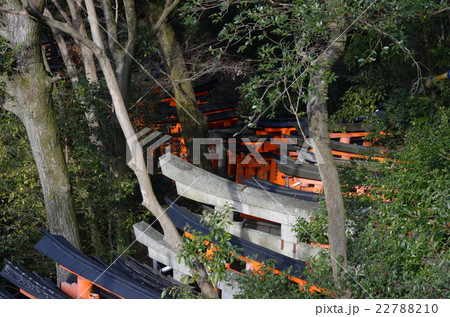 伏見稲荷大社の千本鳥居 伏見稲荷大社の千本鳥居 22788210