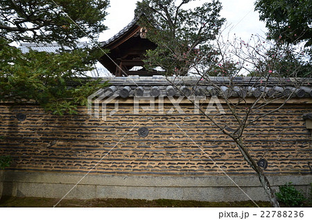 大徳寺塔頭芳春院の土壁 22788236