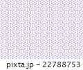 伝統文様 22788753