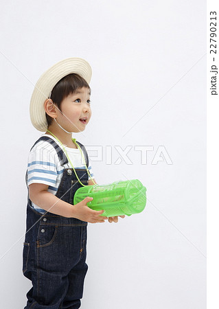 昆虫採集 22790213