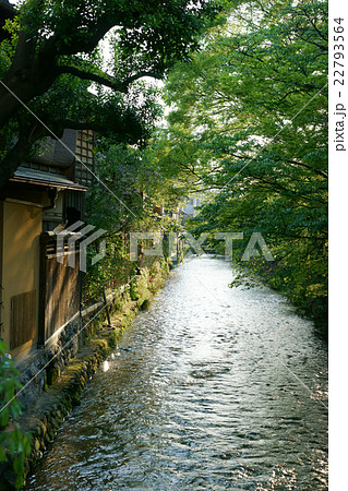 夕暮れ前の祇園白川 夕暮れ前の祇園白川 22793564