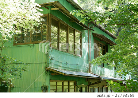 緑色の古い集合住宅 22793569