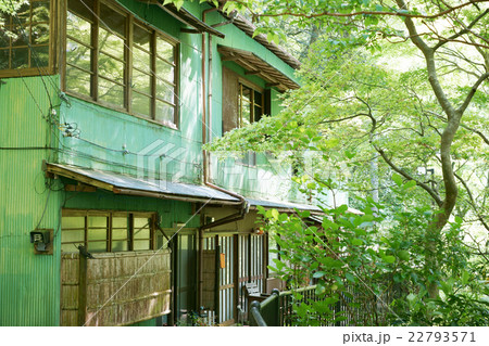 緑色の古い集合住宅 22793571
