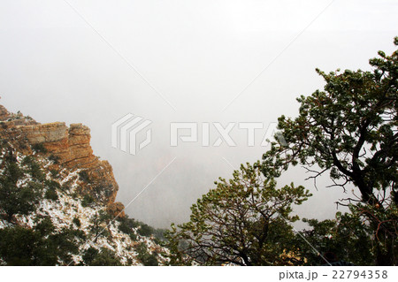 Grand Canyon National Park, USA.. Grand Canyon National Park, USA.. 22794358
