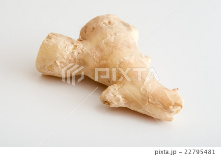 ショウガ ショウガ 22795481