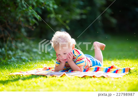 Little boy reading in summer garden 22798987