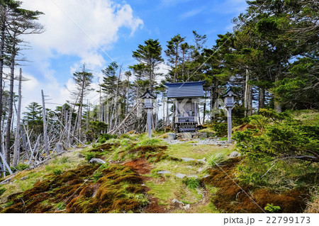 山頂の社 22799173