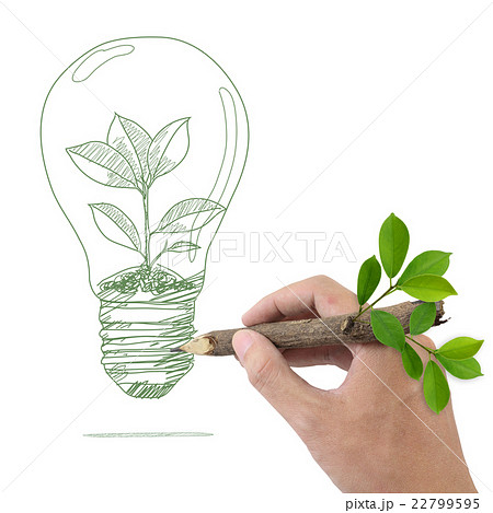 Male hand drawing tree in a light bulb. Male hand drawing tree in a light bulb. 22799595