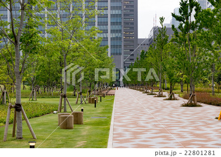 港区立芝浦中央公園 22801281