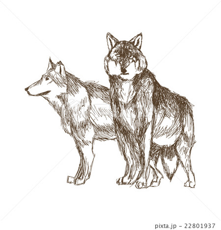 Wolf design. Animal concept.Wildlife animal Wolf design. Animal concept.Wildlife animal 22801937