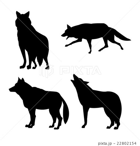 Wolf design. Animal concept.Wildlife animal Wolf design. Animal concept.Wildlife animal 22802154