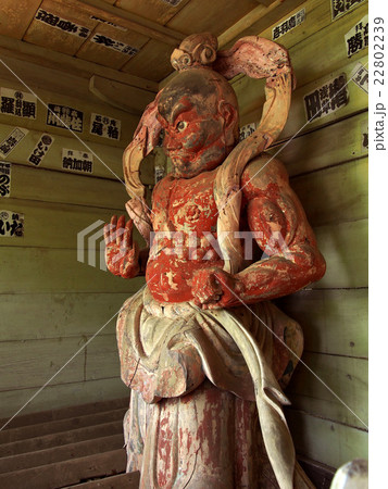 表門の金剛力士 22802239