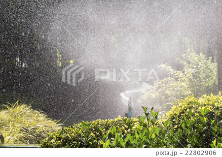 sprinkler head watering the bush in garden sprinkler head watering the bush in garden 22802906