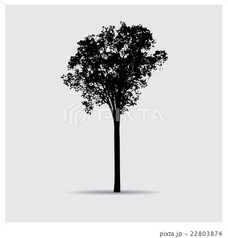 Vector tree silhouettes 22803874