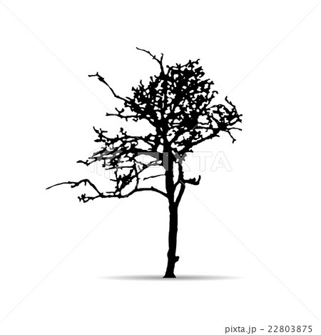 Vector tree silhouettes 22803875