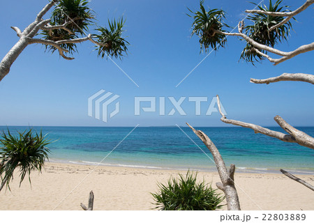 沖縄のビーチ・浜比嘉島の穴場ビーチ 22803889