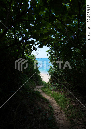 沖縄のビーチ・海が見える小径 22803918