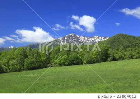 北海道　富良野市　新緑の森と芦別岳 22804012