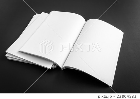 Blank catalog, magazines,book mock up on black background . Blank catalog, magazines,book mock up on black background . 22804533