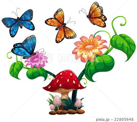 Butterflies flying around mushroom and flower 22805648