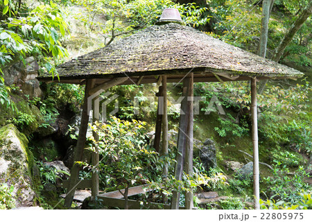森の中の休息所 22805975