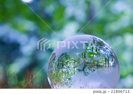 エコイメージ クリスタル エコイメージ クリスタル 22806713