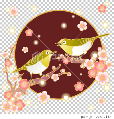 white eye bird and plum blossom white eye bird and plum blossom 22807118
