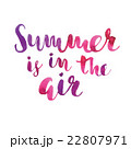 Spring is in the air hand drawn inspiration quote. 22807971