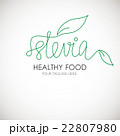 Stevia lineart word logo vector illustration. 22807980