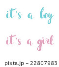 It's A Boy, It`s a girl. Pink and blue hand drawn 22807983