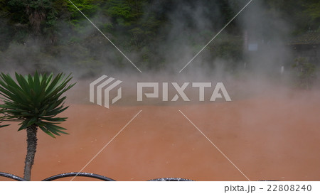 別府地獄めぐり・血の池地獄 別府地獄めぐり・血の池地獄 22808240