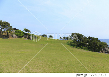 種差海岸 22808493