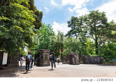 一橋大学 国立キャンパスの写真素材