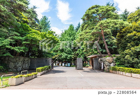 一橋大学 国立キャンパス 正門の写真素材
