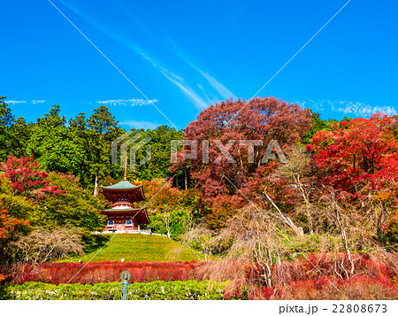 勝尾寺の多宝塔 勝尾寺の多宝塔 22808673
