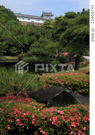 姫路城西御屋敷跡庭園「好古園」御屋敷の庭から見る姫路城の櫓（ワ隅櫓付近） 22808745