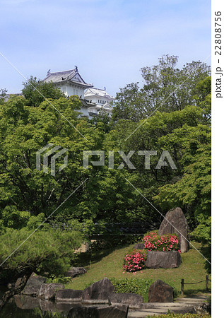 姫路城西御屋敷跡庭園「好古園」築山池泉の庭から見る姫路城の大天守と櫓 姫路城西御屋敷跡庭園「好古園」築山池泉の庭から見る姫路城の大天守と櫓 22808756
