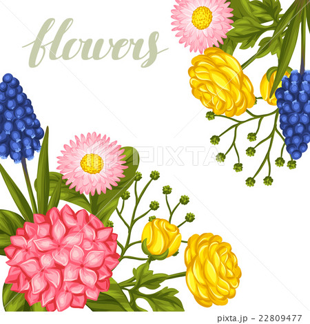 Invitation card with garden flowers. Decorative 22809477