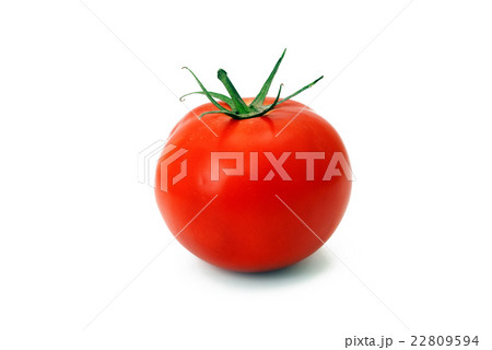 Tomato isolated in white Tomato isolated in white 22809594