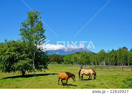 初夏の開田高原 初夏の開田高原 22810027