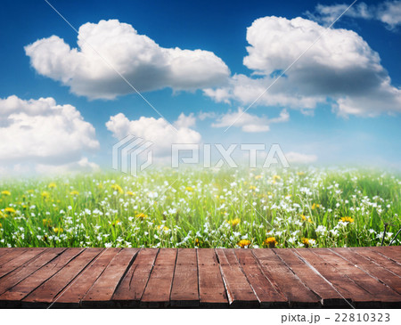 wooden floor and grass wooden floor and grass 22810323