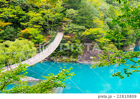 【静岡県】夢の吊り橋 【静岡県】夢の吊り橋 22810809