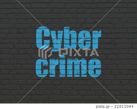 Privacy concept: Cyber Crime on wall background Privacy concept: Cyber Crime on wall background 22811044