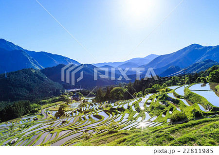 夕刻の丸山千枚田 夕刻の丸山千枚田 22811985
