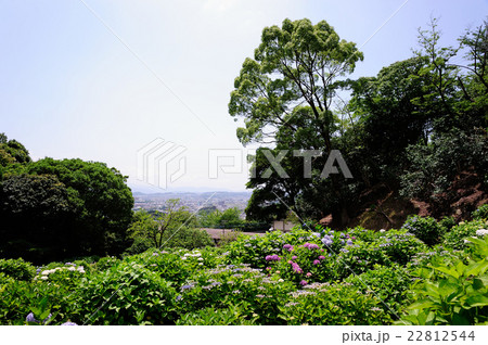 紫陽花の名所の風景 22812544