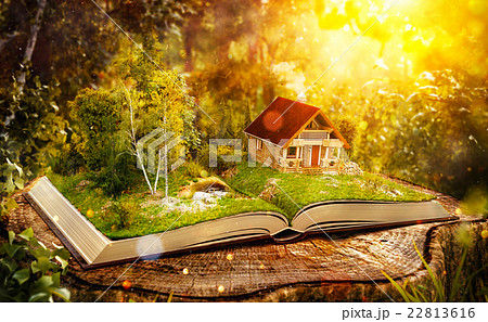 Cute magical log house 22813616