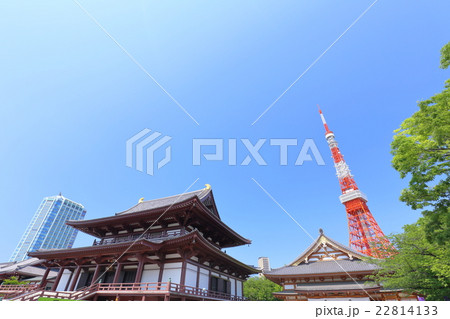 東京タワーと増上寺 東京タワーと増上寺 22814133