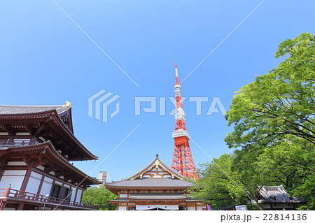 東京タワーと増上寺 東京タワーと増上寺 22814136