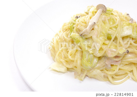 おいしいキャベツとツナのパスタ 22814901